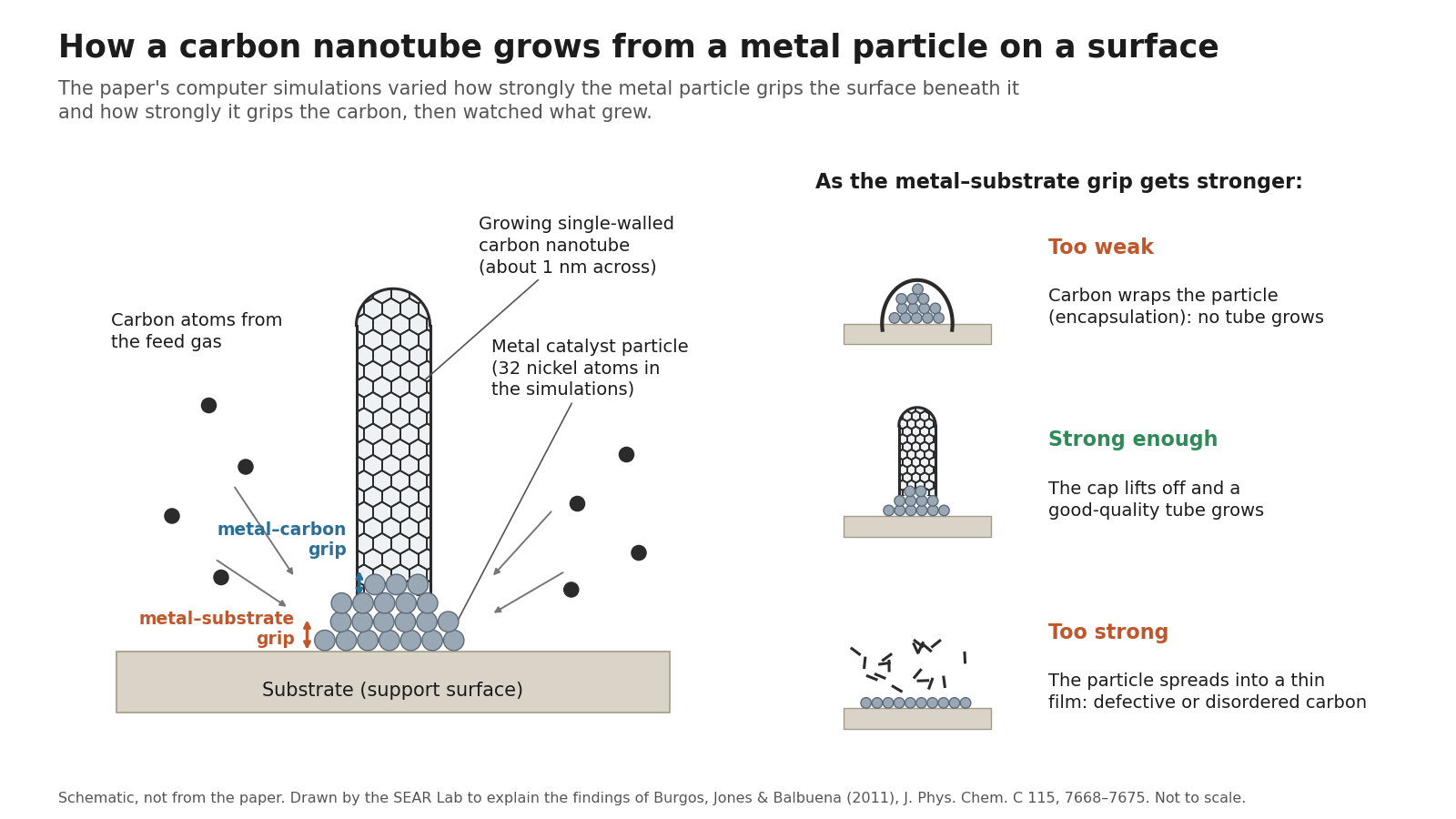 Schematic. Left: a honeycomb-walled carbon nanotube rising from a small dome of metal atoms that rests on a flat substrate, with carbon atoms from the feed gas arriving at the particle. Arrows mark the metal-substrate grip and the metal-carbon grip. Right: three small sketches of what happens as the metal-substrate grip gets stronger. Too weak: a carbon cap wraps the particle and no tube grows. Strong enough: the cap lifts off and a good-quality tube grows. Too strong: the particle spreads into a thin film and disordered carbon forms.